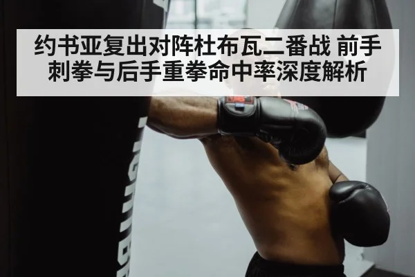 约书亚复出对阵杜布瓦二番战 前手刺拳与后手重拳命中率深度解析