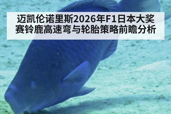 迈凯伦诺里斯2026年F1日本大奖赛铃鹿高速弯与轮胎策略前瞻分析